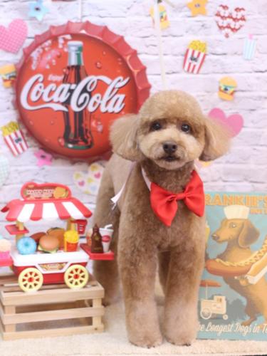 20230907ぷぷちゃん